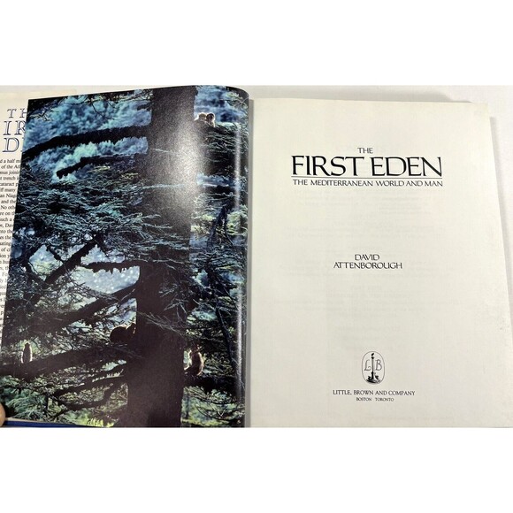 The First Eden: The Mediterranean World and Man by David Attenborough 1987 - Picture 4 of 12